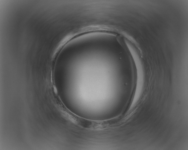 X0000051911365200506241432