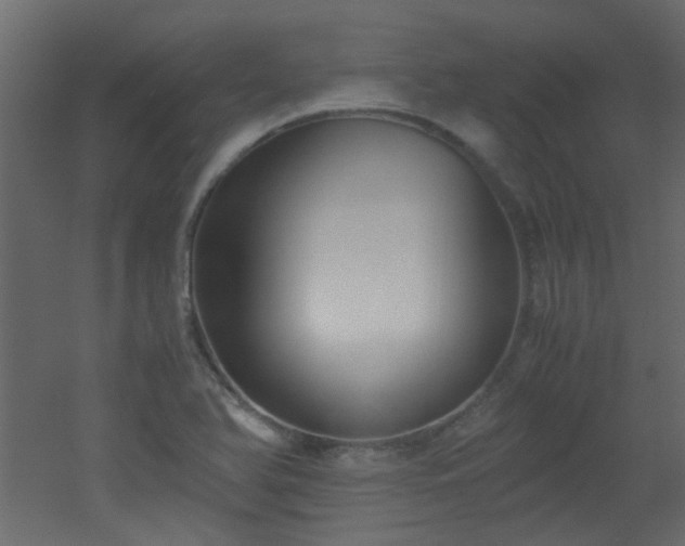 X0000051911366200506241432