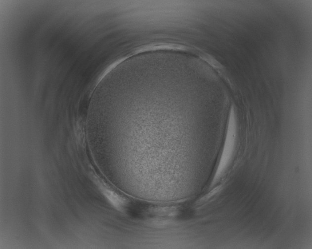 X0000051911369200506241432