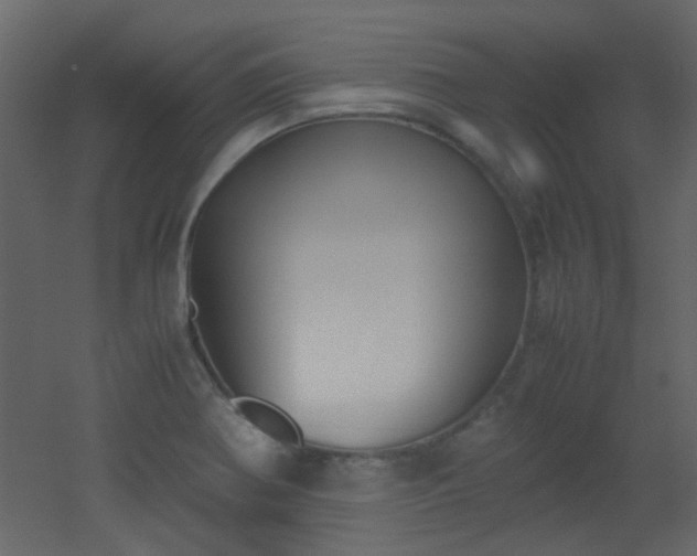 X0000051911370200506241432