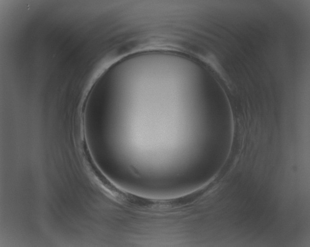 X0000051911371200506241432