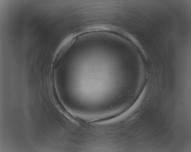 X0000051911373200506241432