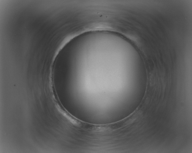 X0000051911374200506241432