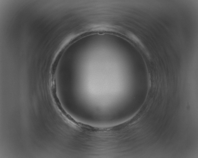 X0000051911376200506241432