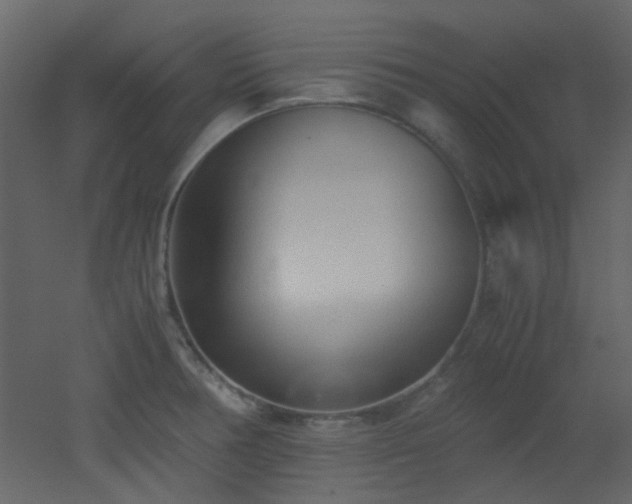 X0000051911378200506241432