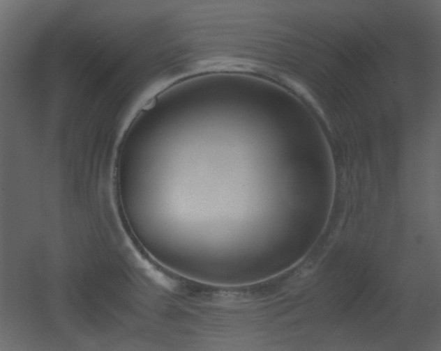 X0000051911379200506241432