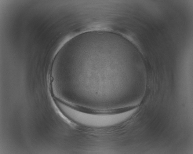 X0000051911383200506241431