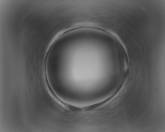 X0000051911389200506241431