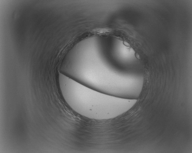 X0000051911393200506241430