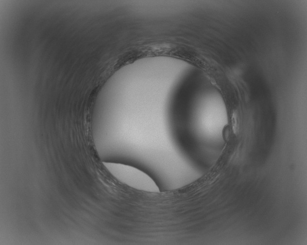 X0000051911395200506241431