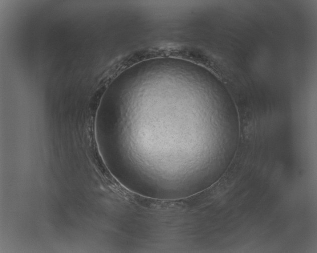 X0000051911397200506241431