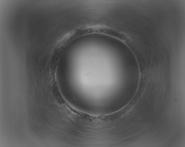 X0000051911398200506241431
