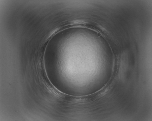 X0000051911401200506241431