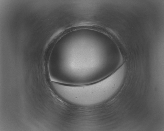 X0000051911406200506241431
