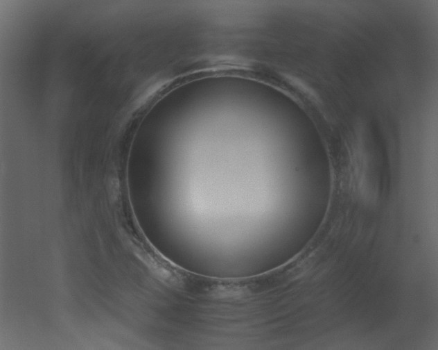 X0000051911407200506241431