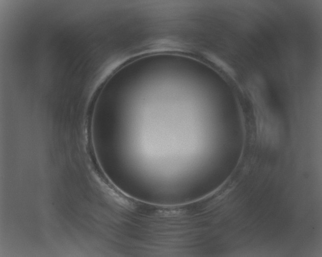 X0000051911415200506241431