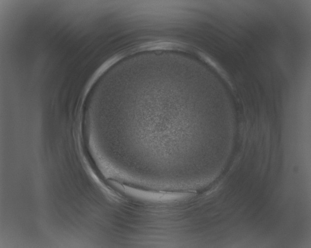 X0000051911418200506241431