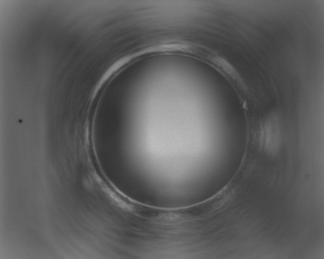 X0000051911420200506241431