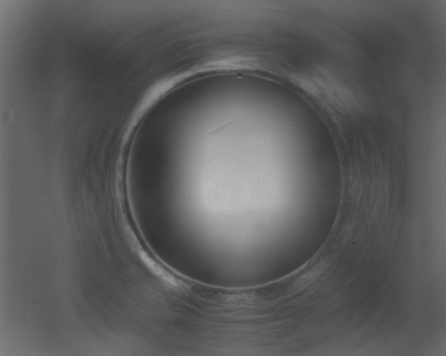 X0000051911421200506241431