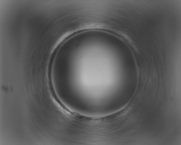 X0000051911422200506241431