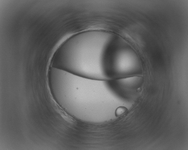 X0000051911427200506241431