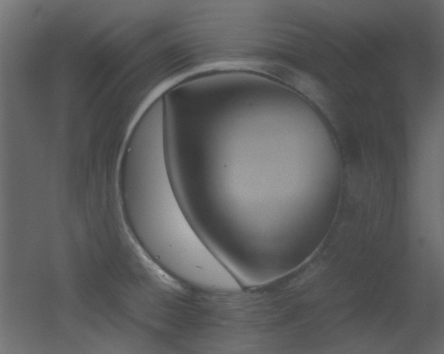 X0000051911428200506241431