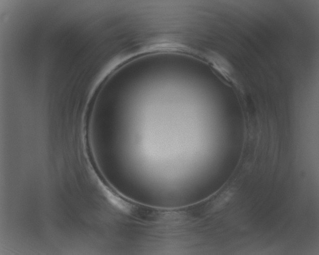 X0000051911430200506241431