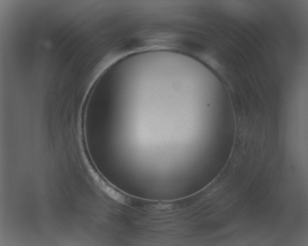 X0000051911431200506241431