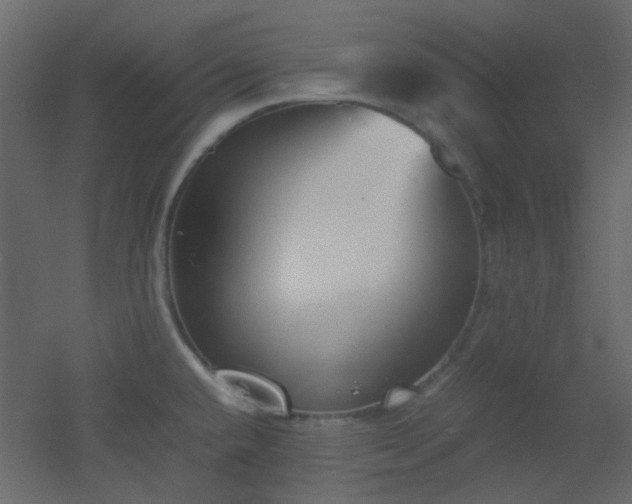 X0000051911432200506241431
