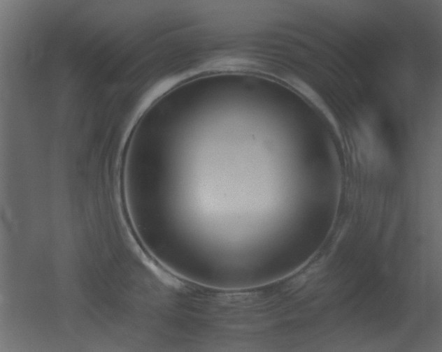 X0000051911437200506241431