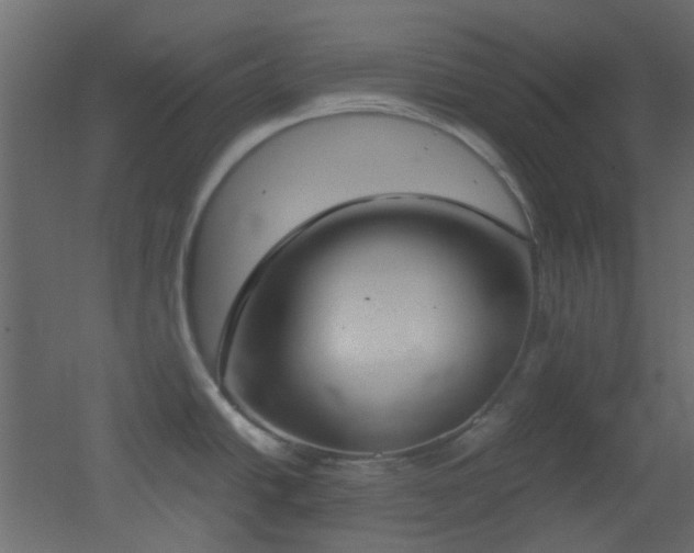 X0000051911438200506241431