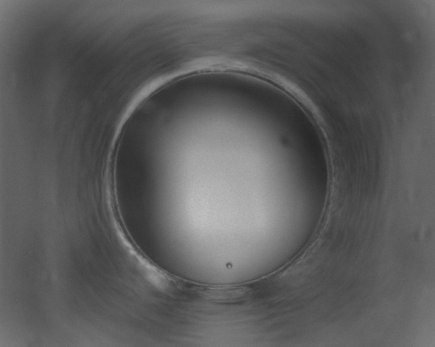 X0000051911440200506241431