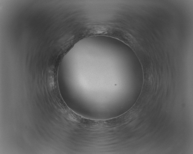 X0000051911442200506241430