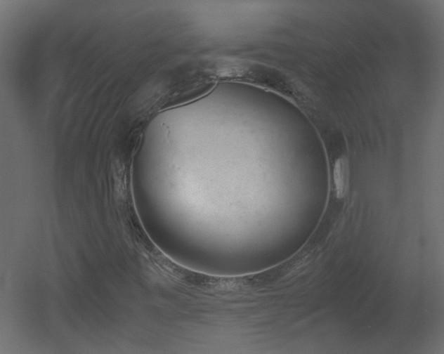 X0000051911443200506241430