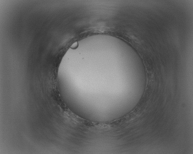 X0000051911446200506241430