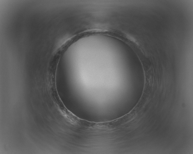 X0000051911448200506241430