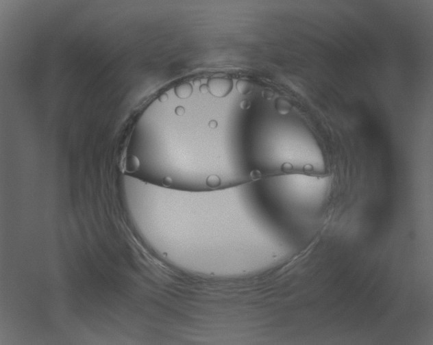 X0000051911451200506241430