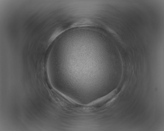 X0000051911457200506241430