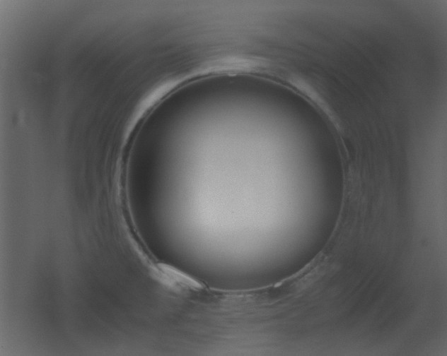 X0000051911477200506241430