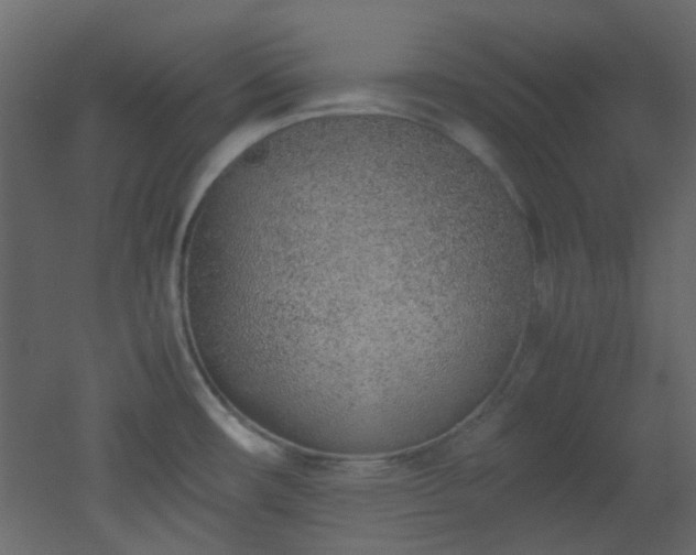 X0000051911482200506241430