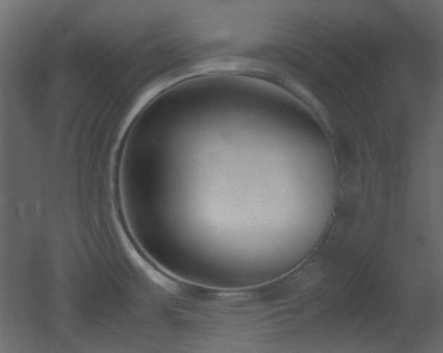 X0000051911483200506241430