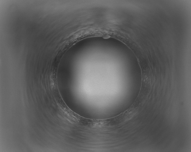 X0000051911490200506241429