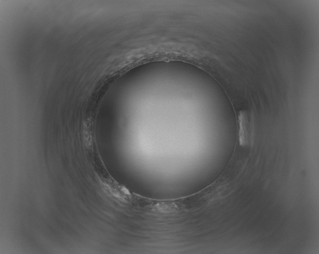 X0000051911491200506241429