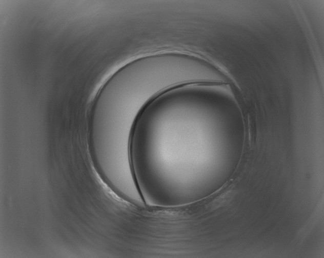 X0000051911500200506241429