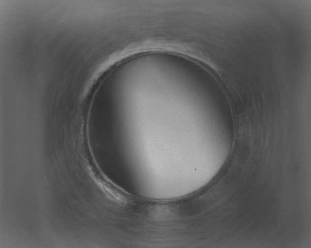 X0000051911507200506241429