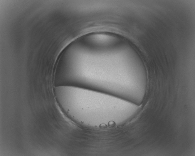 X0000051911513200506241429