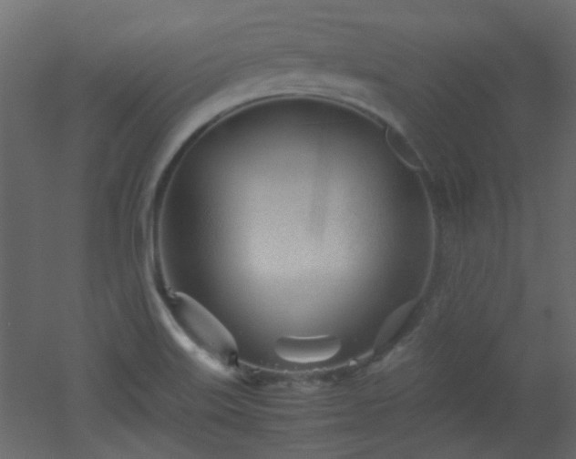 X0000051911515200506241429