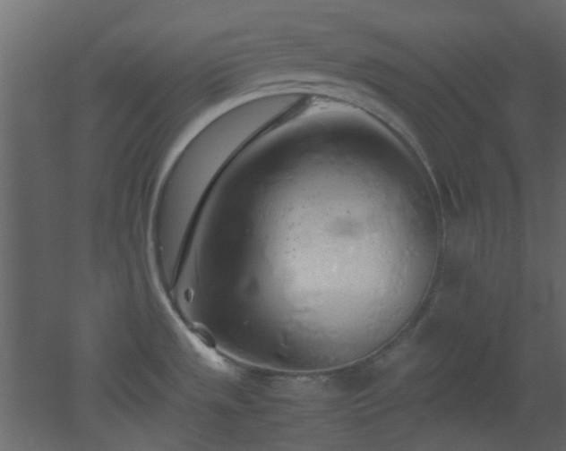 X0000051911533200506241430