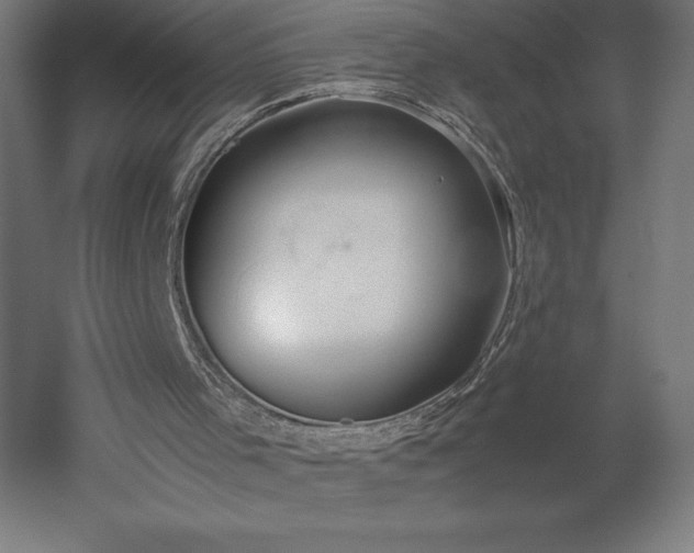 X0000051910001200507011546