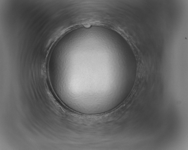 X0000051910002200507011546